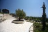 漂亮的橄榄树塔拉市政公园，塞浦路斯