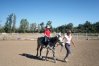 Yeroskipou马术 - 大乐趣骑小马的孩子