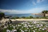 冬季在海滩上的豪华极乐世界酒店帕福斯在塞浦路斯 - 雏菊